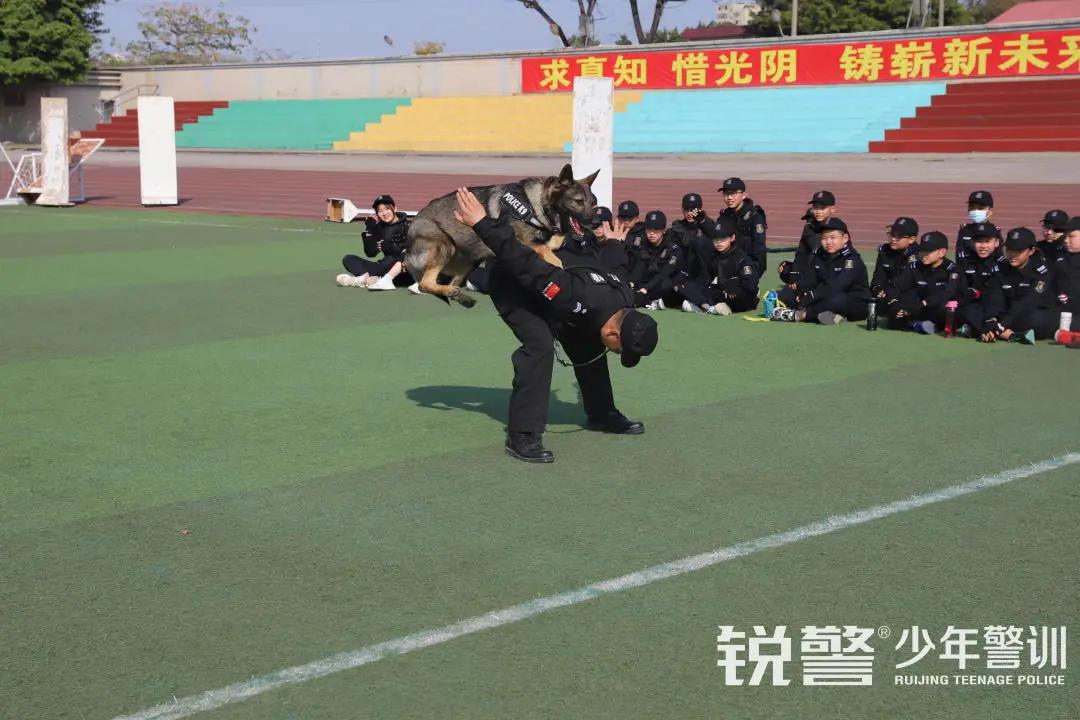 特警突擊營圓滿結營:曆經警訓淬煉,成就(jiù)英勇少(shǎo)年(nián)