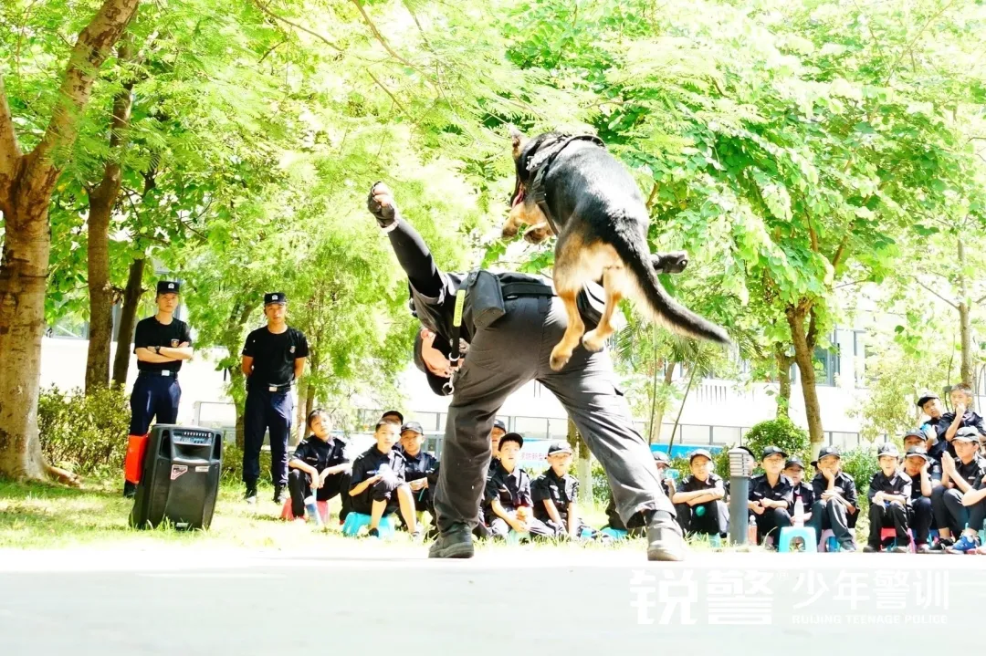 銳警少(shǎo)年(nián)警訓夏令營：化(huà)青春熱(rè)血為(wèi)鋼鐵(tiě)鋒芒