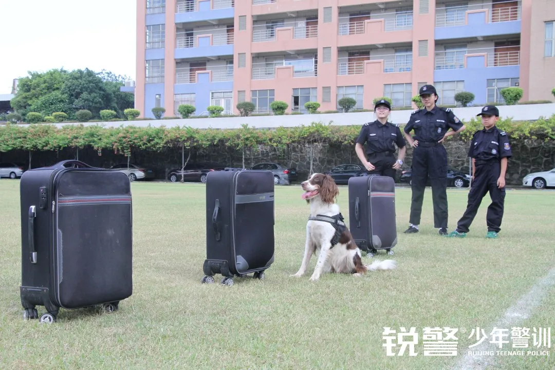 銳警少(shǎo)年(nián)警訓夏令營：化(huà)青春熱(rè)血為(wèi)鋼鐵(tiě)鋒芒