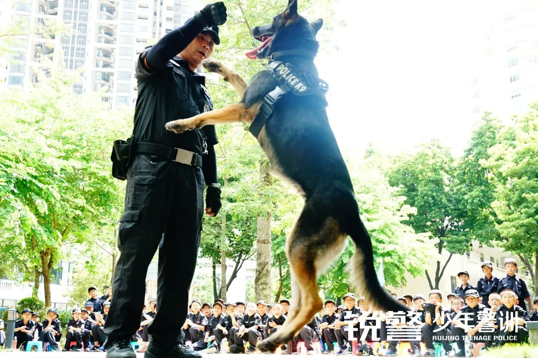 銳警少(shǎo)年(nián)警訓夏令營：化(huà)青春熱(rè)血為(wèi)鋼鐵(tiě)鋒芒