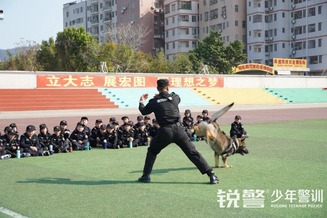 特警突擊營圓滿結營:曆經警訓淬煉,成就(jiù)英勇少(shǎo)年(nián)