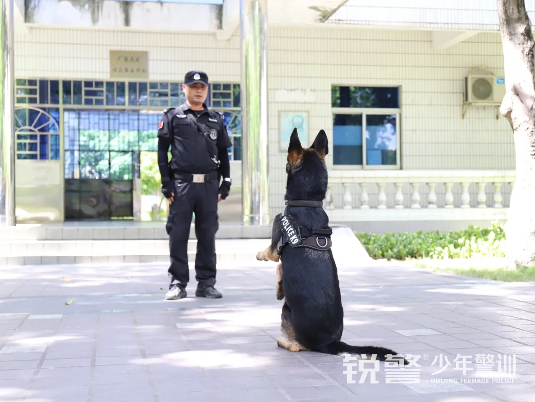 銳警少(shǎo)年(nián)警訓夏令營：化(huà)青春熱(rè)血為(wèi)鋼鐵(tiě)鋒芒