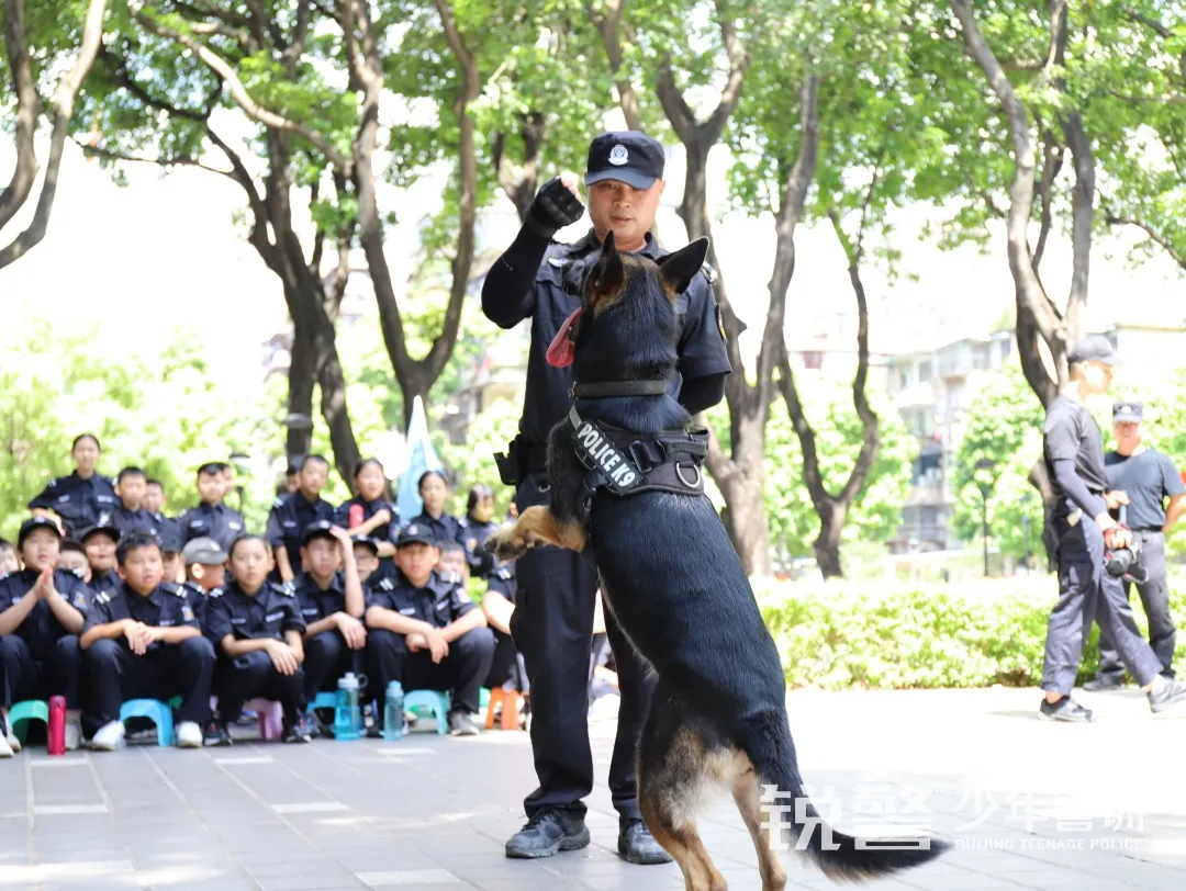 銳警少(shǎo)年(nián)警訓夏令營：化(huà)青春熱(rè)血為(wèi)鋼鐵(tiě)鋒芒